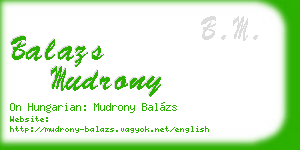 balazs mudrony business card