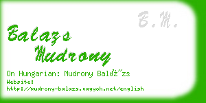 balazs mudrony business card